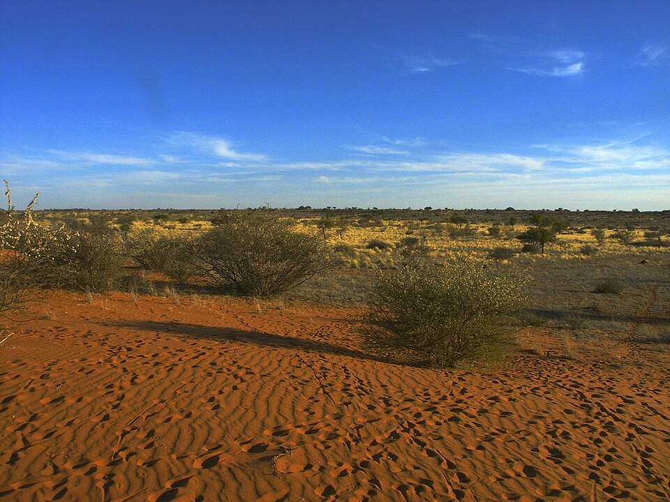 Central Kalahari
