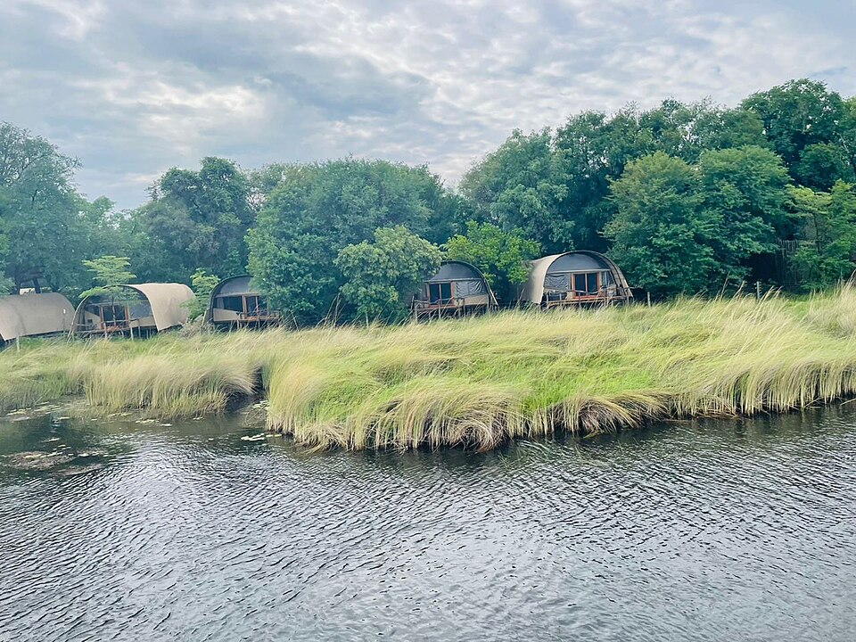 Moremi Game Reserve