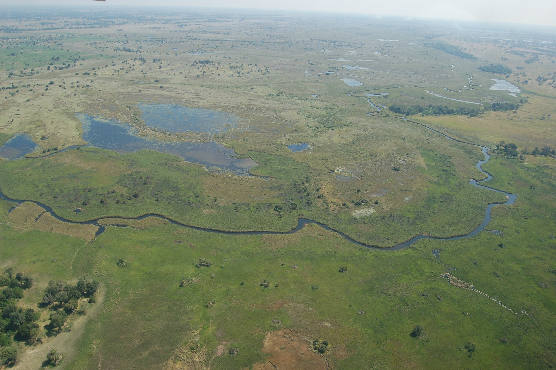 Okavango Delta